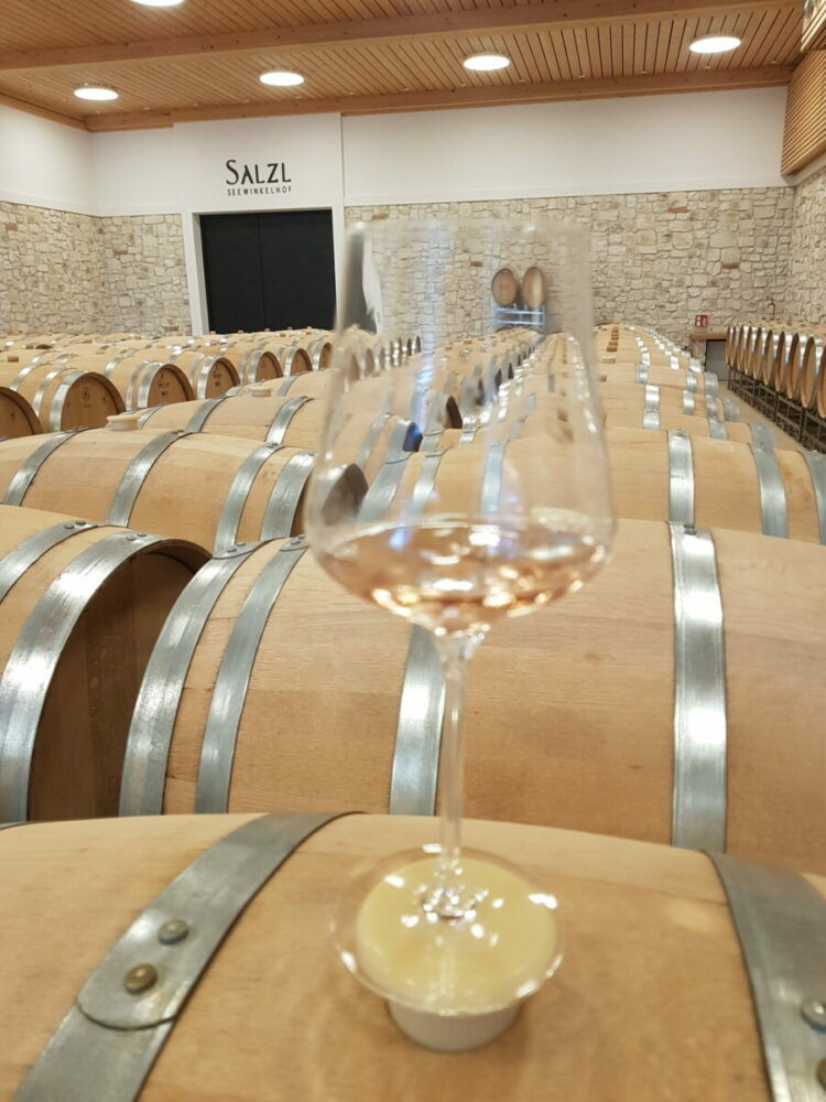 raise your spirits, Verkostung, Wein, Weinwanderung, Wiener Wein